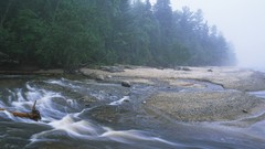 Nature digital camera