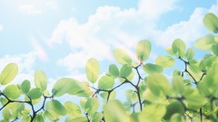 Nature digital leaves Plants