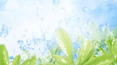 Nature digital leaves Plants