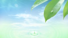 Nature digital leaves water