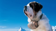 Nature Dogs animales