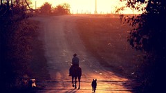 Nature Dogs roads horseman