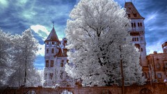 Nature Dracula romania Transylvania Bran Castle