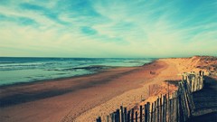 Nature dreamy vendee FILSRU