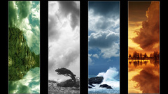 Nature elements mosaic