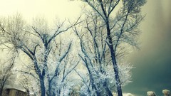 Nature faces Armenia