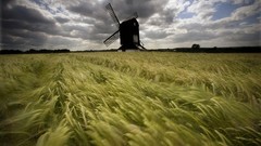 Nature farm farmland green yellow