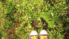Nature feet Green Shoes Converse body parts