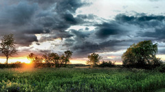 Nature field wide screen hdr dual