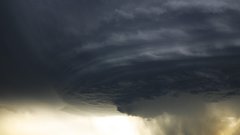 Nature fields dust tornadoes