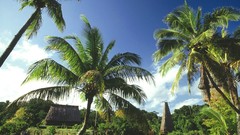 Nature Fiji Islands tropical Pacific harbours