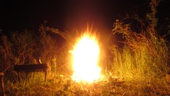 Nature fire outdoors night sky firesparks