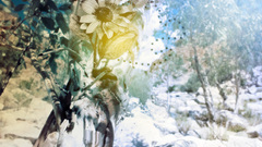 Nature Flowers Desktopography