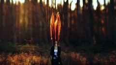 Nature fly woman Wild blurred long hair brunettes redheads hair 