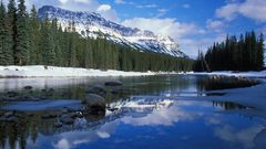 Nature forests Canada Mountains