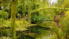 Nature France Garden normandy Monet Giverny