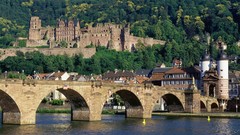 Nature germany Heidelberg neckar