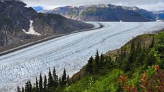 Nature glacier British Columbia salmon