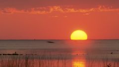 Nature golden moment gulf