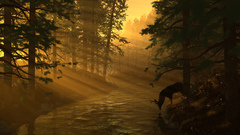 Nature graphic artwork idyll