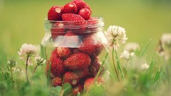 Nature grass Berries strawberries jars