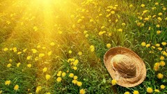 Nature grass dandelions sunlight Straw Hat