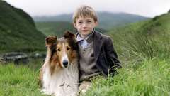 Nature grass Dogs Boys!