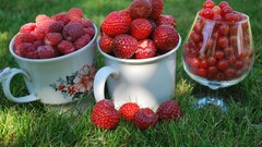 Nature grass food close-up Berries strawberries fruits bowl 