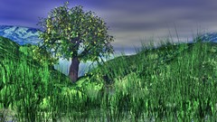 Nature grass Mountains drawings artwork digital art lone tree