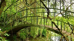 Nature Green lakes rivers forests stock photo