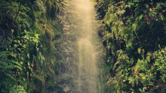 Nature Green New Zealand sound waterfalls forests Trey Ratcliff