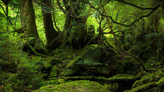 Nature hills waterfalls fields rivers forests rolling endor