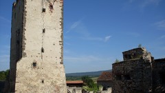 Nature hungary balaton