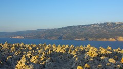 Nature Islands Europe croatia Rab