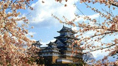 Nature Japan buildings cherry blossoms Castle Himeji
