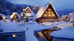 Nature Japan Go board game