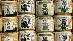 Nature Japan Tokyo shrine Sake Asakusa