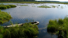 Nature Lake boat beautiful