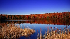 Nature lakes periphery