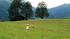 Nature landscape Green grass