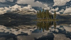 nature landscape Lake reflection clouds Trees forest water grass
