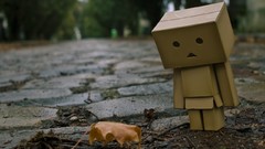 Nature leaves cardboard Miura