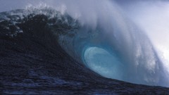 Nature Mexico killers Santos FC