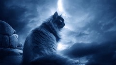 Nature moon abstract missing