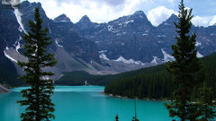 Nature Moraine Lake forest