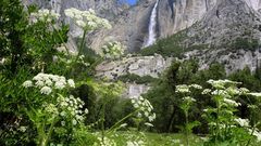Nature mountain waterfalls
