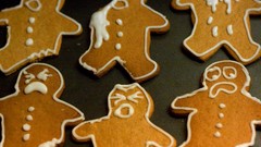 Nature national geographic Gingerbread man