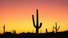 Nature nice didn get