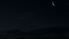 Nature night field moon version