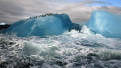 Nature North Pole Alaska